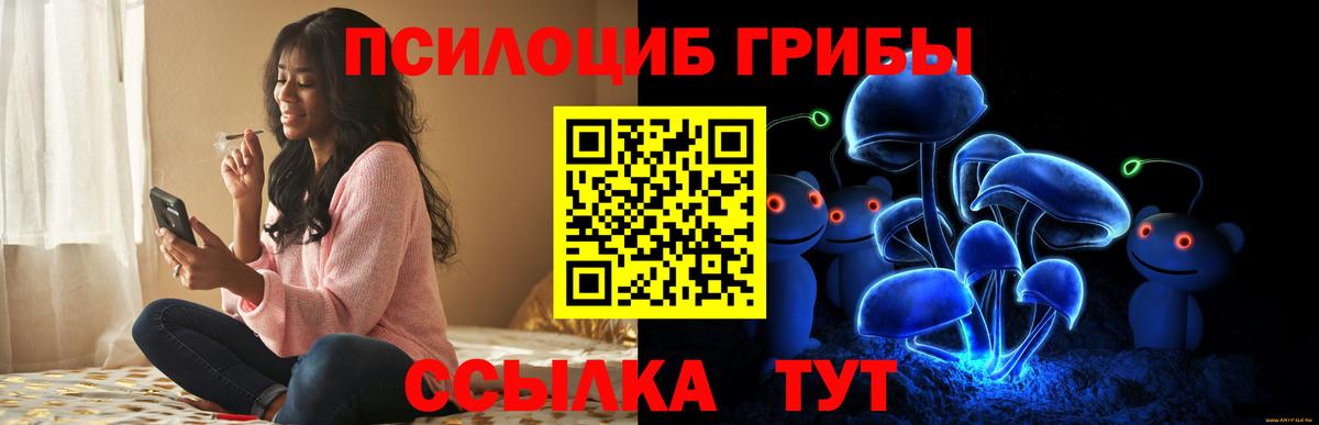 Галлюциногенные грибы Psilocybine cubensis Лянтор